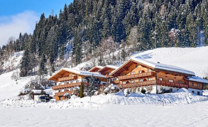 Alpin Apart Flachau Dış mekan fotoğraf