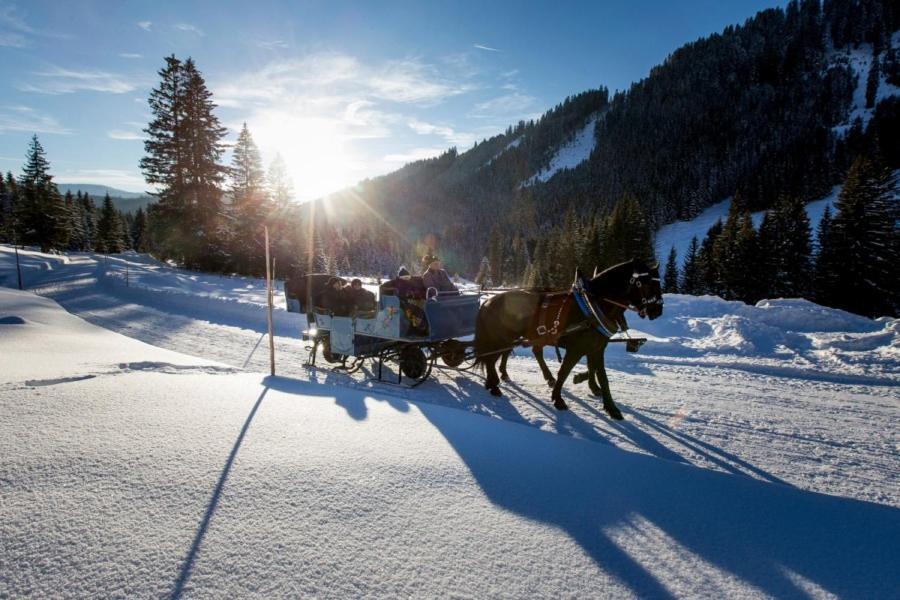 Alpin Apart Flachau Dış mekan fotoğraf
