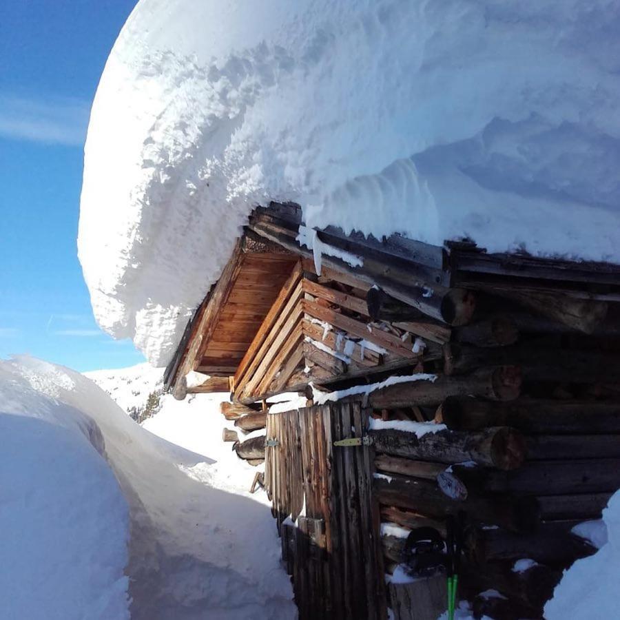 Alpin Apart Flachau Dış mekan fotoğraf