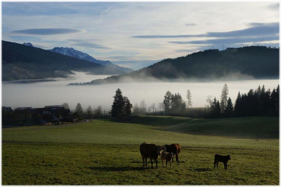 Alpin Apart Flachau Dış mekan fotoğraf